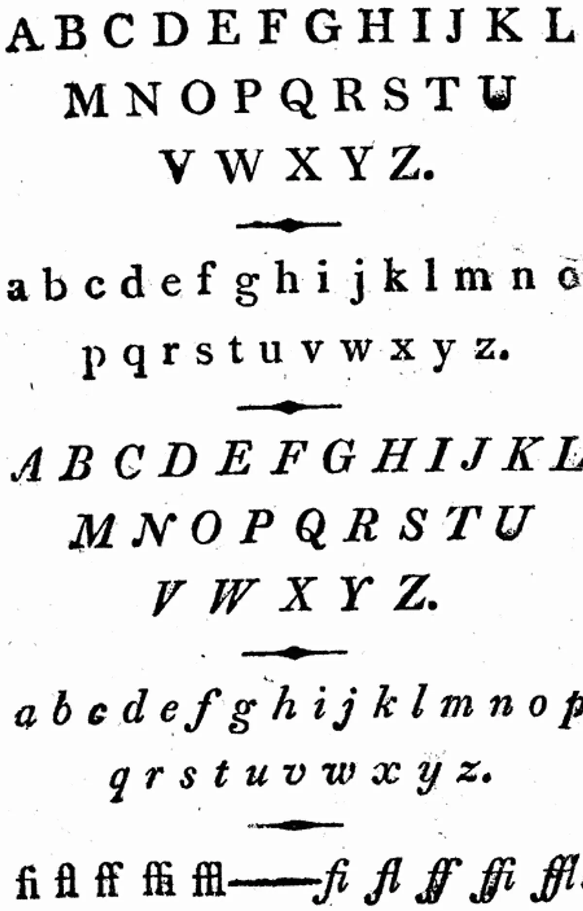 The History of Insects