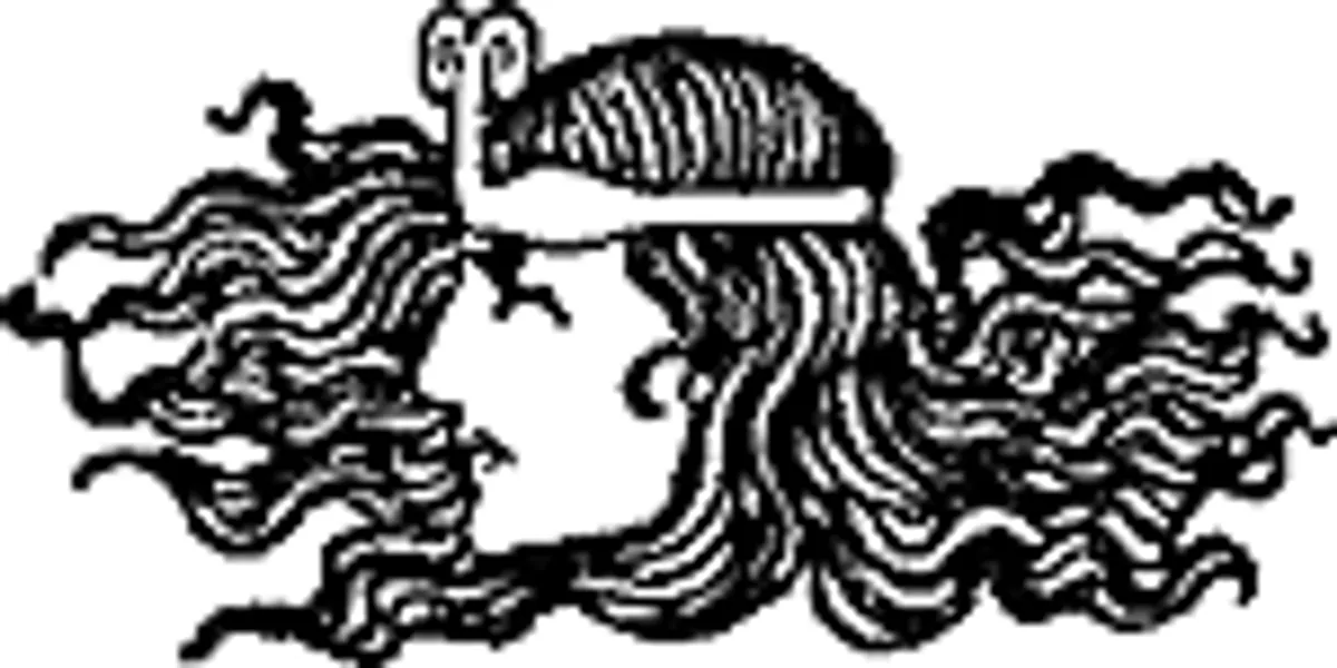 Viking Tales