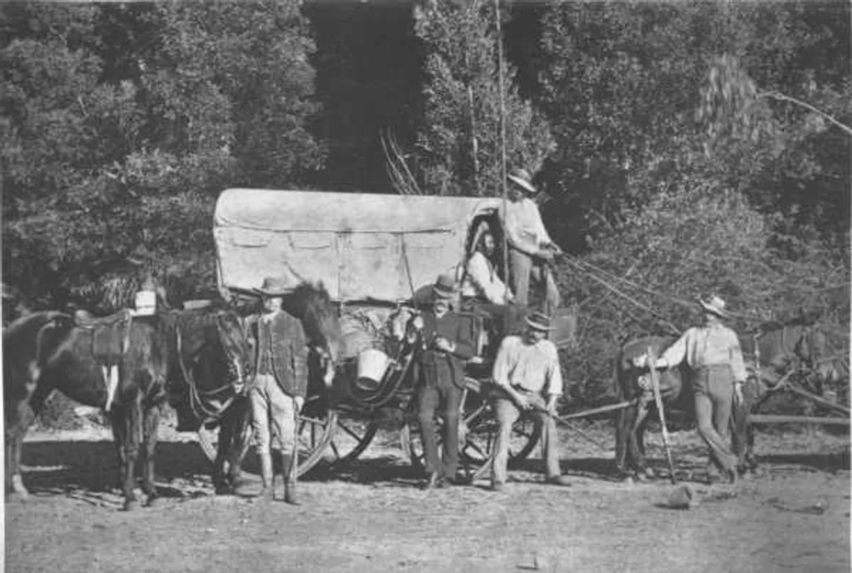 A Winter Tour in South Africa