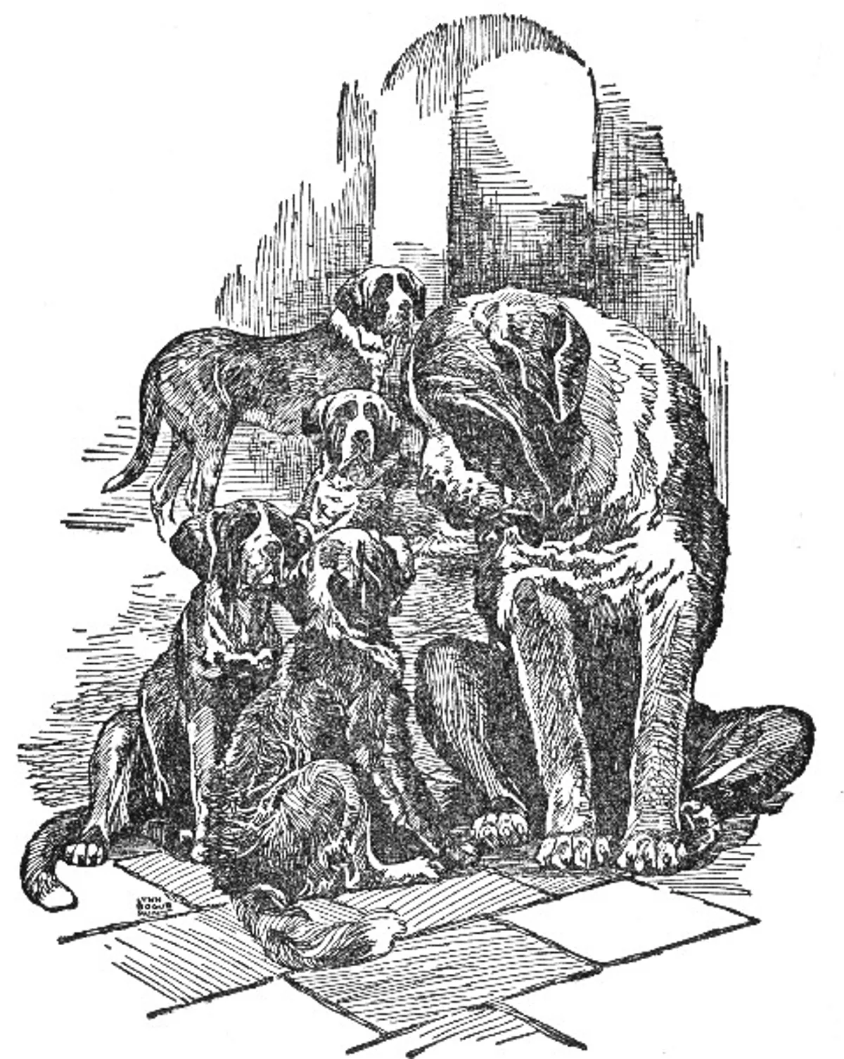 Prince Jan, St. Bernard