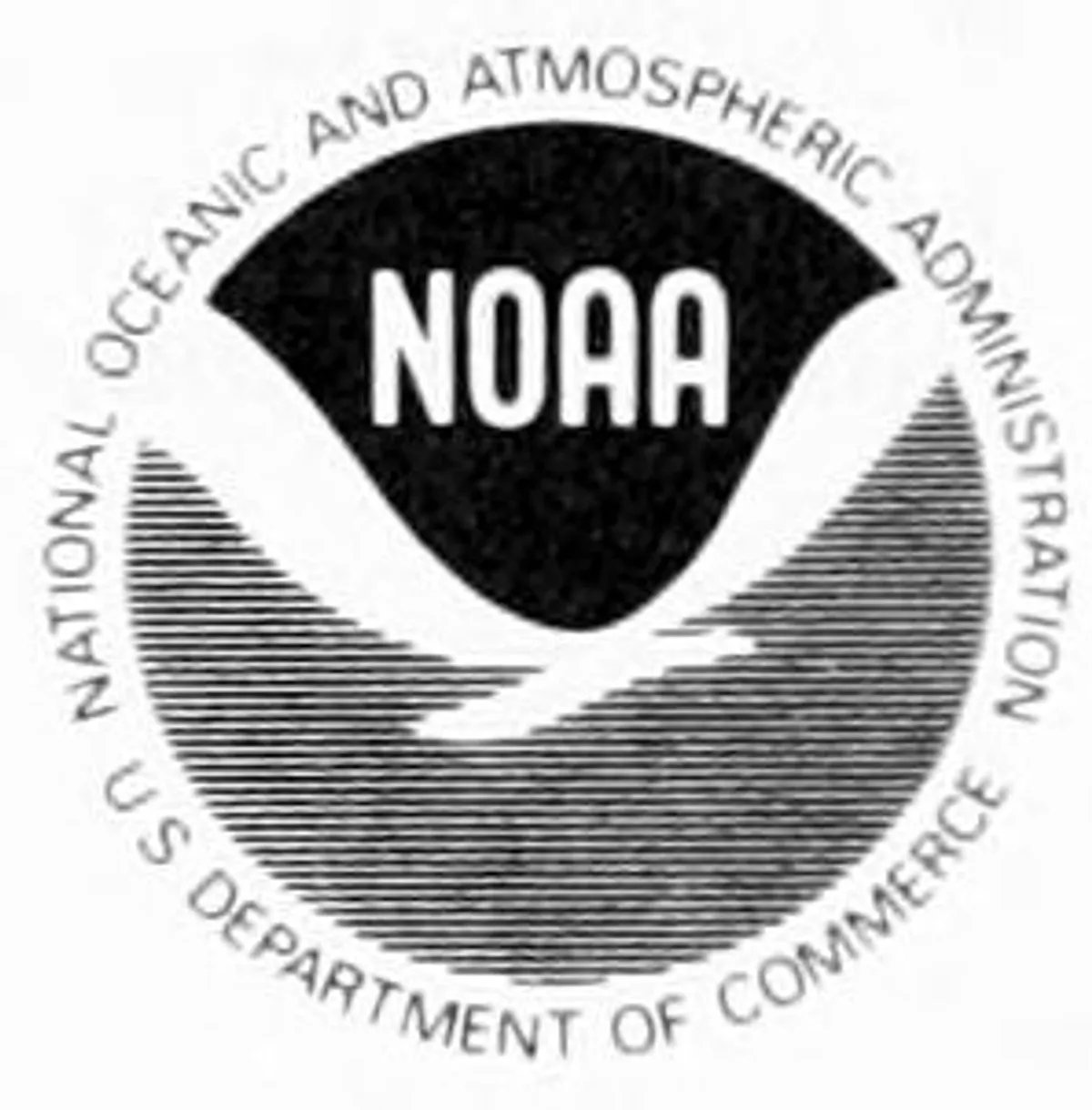 Whales, Dolphins, and Porpoises of the Western North AtlanticA Guide to Their Identification