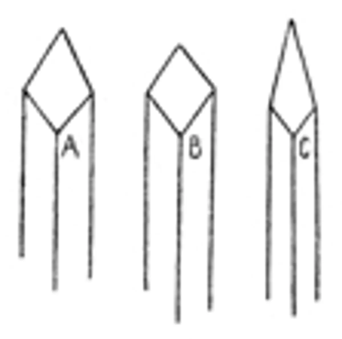 A Treatise on Staff Making and PivotingContaining Complete Directions for Making and Fitting New Staffs from the Raw Material