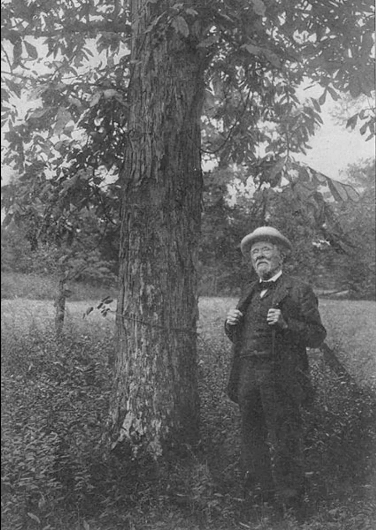 Northern Nut Growers Association Report of the Proceedings at the Second Annual MeetingIthaca, New York, December 14 and 15, 1911