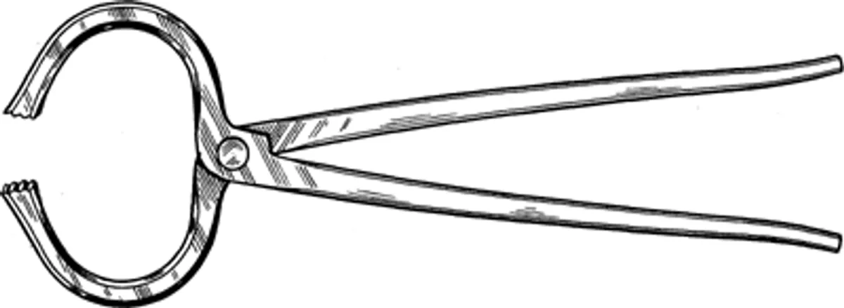 Lameness of the HorseVeterinary Practitioners’ Series, No. 1